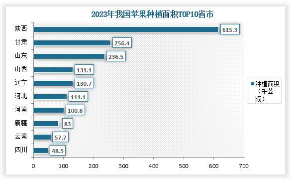 從各省市種植面積來看，在2023年我國蘋果種植面積前三的省市分別為陜西、甘肅、山東；種植面積分別為615.3千公頃、256.4千公頃、236.5千公頃；占比分別為31.9%、13.3%、12.3%，其中陜西蘋果種植面積遠(yuǎn)高于其他省市。