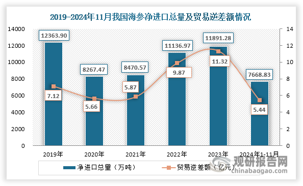 同时，在2024年1-11月，我国海参净进口总量和贸易逆差额也大幅减少，分别约为7668.83吨和5.44亿元，同比分别减少31.25%和86.76%。