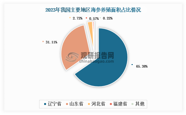 目前，我国海参养殖已形成三大产区，分别是以辽宁省为核心的北部产区、以山东省为核心的中部产区和以福建省为核心的南部产区。其中，辽宁省养殖面积最大，2023年占全国总养殖面积的65.38%；其次为山东省，占比约为31.11%。从产量看，2023年辽宁省海参产量首次超过山东省，位列全国首位，达到11.36万吨，占比38.90%；其次为山东省，达到10.68万吨，占比36.58%。