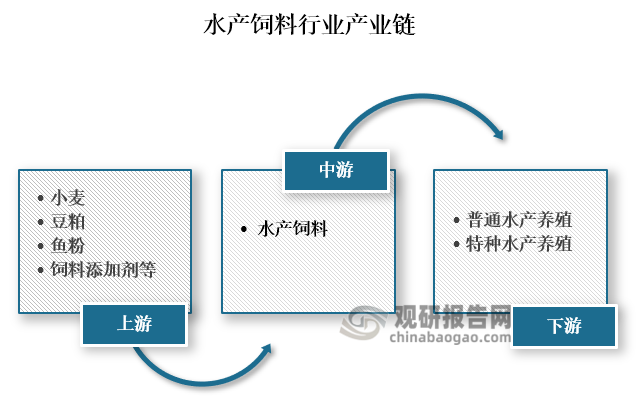 从产业链来看，水产饲料上游主要为小麦、豆粕、鱼粉、饲料添加剂等原材料和添加剂；中游为水产饲料的生产；下游为水产养殖行业，主要可分为普通水产养殖和特种水产养殖。