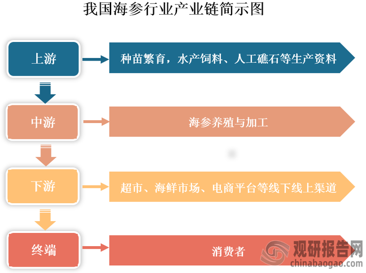 具体来看，我国海参行业产业链上游包括种苗繁育，水产饲料、人工礁石等生产资料；中游为海参养殖与加工；下游为流通环节，包括超市、海鲜市场、电商平台等线下线上渠道；最终通过这些渠道将海参销售给终端消费者。