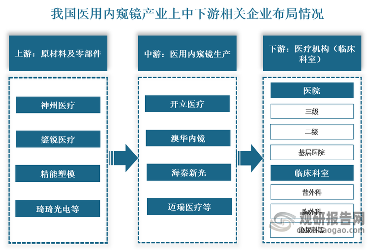 从相关企业来看，我国医用内窥镜行业产业链上游为原材料及零部件，代表性企业有神州医疗、鋆锐医疗、精能塑模以及琦琦光电等；中游为医用内窥镜生产商，代表性企业包括开立医疗、澳华内镜、海泰新光、迈瑞医疗等；下游主要为医疗机构及临床科室。