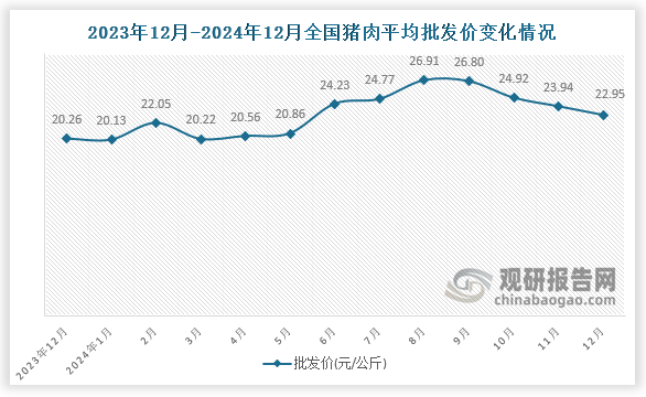 數(shù)據(jù)顯示，近十三月全國平均批發(fā)價呈先升后降趨勢。2024年12月全國豬肉平均批發(fā)價為60.85元/公斤，環(huán)比下降4.1%，同比增長13.3%。