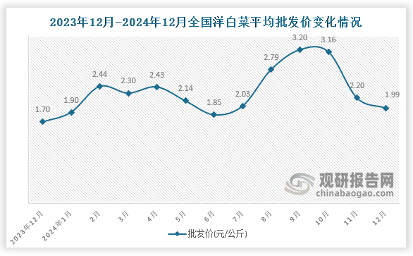 數據顯示，近十三月全國洋白菜平均批發(fā)價呈先升后降趨勢。2024年12月全國洋白菜平均批發(fā)價為1.99元/公斤，環(huán)比下降9.5%，同比增長17.1%。