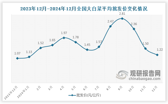 數(shù)據(jù)顯示，近十三月全國大白菜平均批發(fā)價呈先升后降趨勢。2024年12月全國大白菜平均批發(fā)價為1.22元/公斤，環(huán)比下降18.7%，同比增長14%。