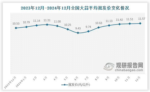 数据显示，近十三月全国大蒜平均批发价呈先升后降再升趋势。2024年12月全国大蒜平均批发价为11.57元/公斤，环比增长0.5%，同比增长9.9%。