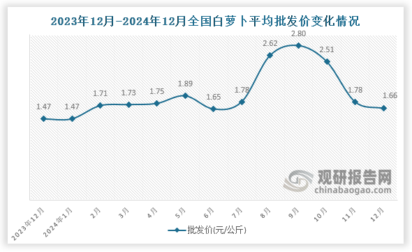 數(shù)據(jù)顯示，近十三月全國(guó)白蘿卜平均批發(fā)價(jià)呈先升后降趨勢(shì)。2024年12月全國(guó)白蘿卜平均批發(fā)價(jià)為1.66元/公斤，環(huán)比下降6.7%，同比增長(zhǎng)12.9%。