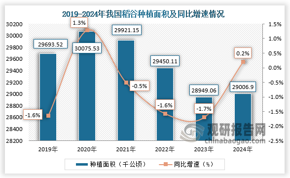 種植面積來看，2020年我國稻谷種植面積同比增長最大，同比增長1.3%；到2024年我國稻谷種植面積約為29006.9千公頃，同比增長0.2%。近五年，我國稻谷種植面積整體呈先升后降再升增長走勢。