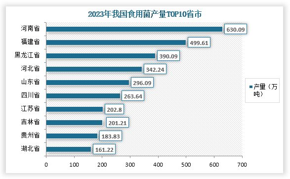 從各省市產(chǎn)量來看，在2023年我國共有四個省市食用菌產(chǎn)量超過300萬噸，分別為河南省、福建省、黑龍江省、河北??；產(chǎn)量分別為630.09萬噸、499.61萬噸、390.09萬噸、342.24萬噸。