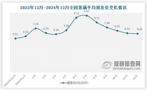 數(shù)據(jù)顯示，近十三月全國(guó)蓮藕平均批發(fā)價(jià)呈先升后降趨勢(shì)。2024年12月全國(guó)蓮藕平均批發(fā)價(jià)為6.42元/公斤，環(huán)比下降1.5%，同比增長(zhǎng)14.4%。