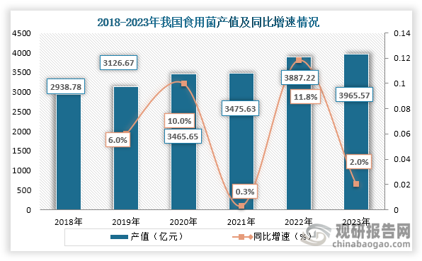 從產(chǎn)值方面來看，2018年到2023年我國食用菌產(chǎn)值從2938.78億元增長到了3965.57億元，連續(xù)六年持續(xù)增長。