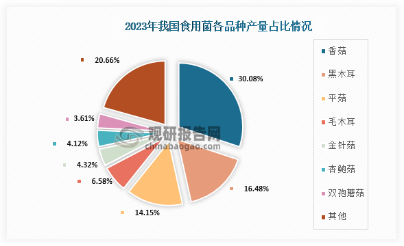 從種類產(chǎn)量情況來看，在2023年我國食用菌中產(chǎn)量前三的種類分別為香菇、黑木耳、平菇；產(chǎn)量分別為1303.75萬噸、714.47萬噸、平菇613.21萬噸；占比分別為30.08%、16.48%、14.15%，合計占總產(chǎn)量的63%。