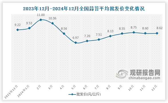 数据显示，近十三月全国蒜苔平均批发价呈先升后降再升趋势。2024年12月全国蒜苔平均批发价为8.62元/公斤，环比增长0.2%，同比下降6.5%。