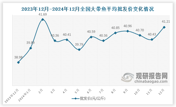 數(shù)據(jù)顯示，近十三月全國(guó)大帶魚平均批發(fā)價(jià)呈波動(dòng)式增長(zhǎng)趨勢(shì)。2024年12月全國(guó)大帶魚平均批發(fā)價(jià)為41.21元/公斤，環(huán)比增長(zhǎng)1.9%，同比增長(zhǎng)5.7%。