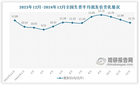 数据显示，近十三月全国生姜平均批发价呈先降后升再降趋势。2024年12月全国生姜平均批发价为11.21元/公斤，环比下降6.5%，同比下降5%。