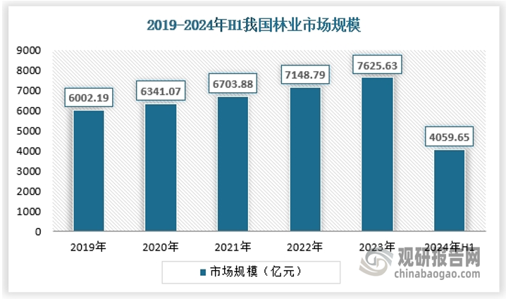 隨著人民生活水平的提高和對生態(tài)環(huán)境質(zhì)量的關(guān)注增加，市場對于高質(zhì)量林產(chǎn)品和服務(wù)的需求持續(xù)增長，特別是高品質(zhì)、環(huán)保型林產(chǎn)品更受市場青睞，促進(jìn)了行業(yè)的持續(xù)擴(kuò)大。2024年上半年，我國林業(yè)市場規(guī)模約為4059.65億元，保持持續(xù)的增長態(tài)勢。