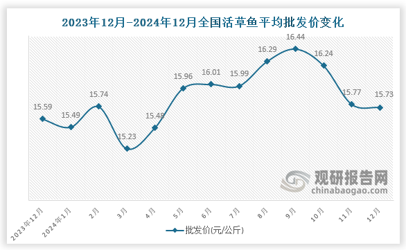 数据显示，近十三月全国活草鱼平均批发价呈先降后升再降趋势。2024年12月全国活草鱼平均批发价为15.73元/公斤，环比下降0.3%，同比增长0.9%。