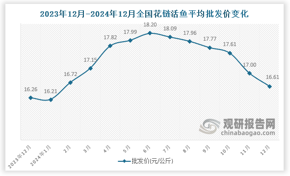 数据显示，近十三月全国花链活鱼平均批发价呈先降后升在降趋势。2024年12月全国花链活鱼平均批发价为16.61元/公斤，环比下降2.3%，同比增长2.2%。