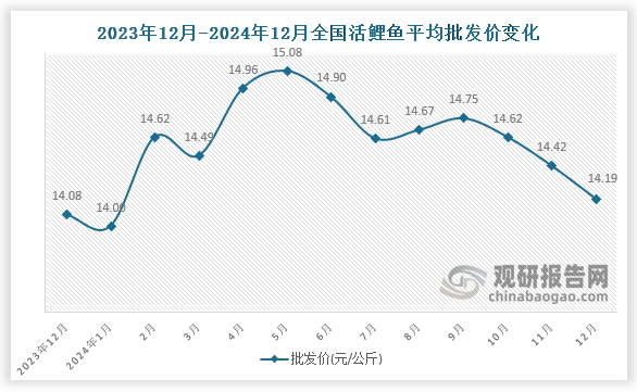 数据显示，近十三月全国活鲤鱼平均批发价呈波动式下降趋势。2024年12月全国活鲤鱼平均批发价为14.19元/公斤，环比下降1.6%，同比增长0.8%。