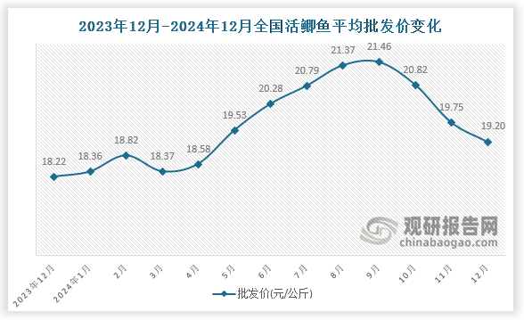 数据显示，近十三月全国活鲫鱼平均批发价呈先升后降趋势。2024年12月全国活鲫鱼平均批发价为19.20元/公斤，环比下降2.8%，同比增长5.4%。