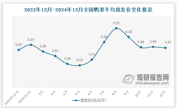 数据显示，近十三月全国鸭梨平均批发价呈先升后降再升再降趋势。2024年12月全国鸭梨平均批发价为5.97元/公斤，环比下降0.3%，同比增长0.7%。