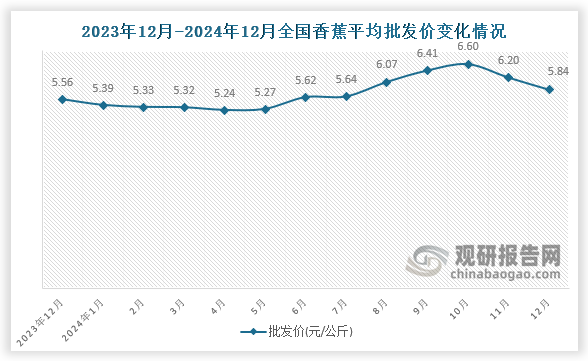 數(shù)據(jù)顯示，近十三月全國香蕉平均批發(fā)價呈先降后升再降趨勢。2024年12月全國香蕉平均批發(fā)價為5.84元/公斤，環(huán)比下降5.8%，同比增長5%。