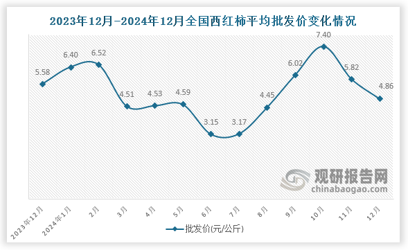 数据显示，近十三月全国西红柿平均批发价呈先升后降趋势。2024年12月全国西红柿平均批发价为4.86元/公斤，环比下降16.5%，同比下降12.9%。