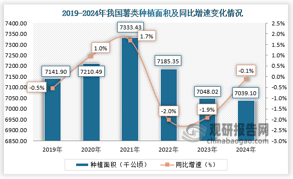 種植面積來看，2021年我國薯類種植面積約為7333.43千公頃，同比增長1.7%；到2024年我國薯類種植面積約為7039.10千公頃，同比下降0.1%。近六年，我國薯類種植面積整體呈先升后降走勢。