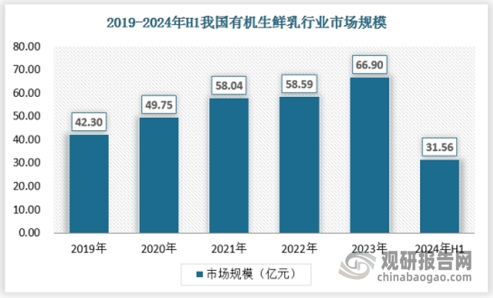 隨著消費(fèi)者對食品安全和健康飲食的關(guān)注度不斷提高，有機(jī)生鮮乳因其無污染、無添加的特點(diǎn)而受到越來越多消費(fèi)者的青睞。我國的乳制品企業(yè)加快轉(zhuǎn)型升級，生鮮乳的質(zhì)量安全水平持續(xù)提高，產(chǎn)品品種日益豐富。2023年我國有機(jī)生鮮乳行業(yè)市場規(guī)模達(dá)到66.9億元，較2022年增長8.31億元。