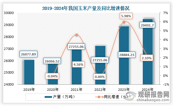 从上游原材料来看，在2019年到2024年我国玉米产量持续增长，到2024年我国玉米产量为29491.7万吨，同比增长2.10%。