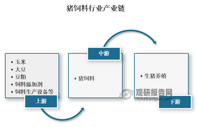 从产业链来看，猪饲料上游主要为玉米、大豆、豆粕、饲料添加剂和饲料生产设备等原材料和制造设备；中游为猪饲料生产；下游为生猪养殖行业。