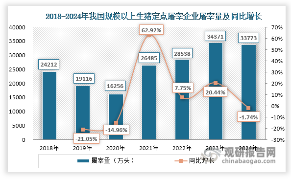 此外，近年來我國規(guī)模以上生豬定點(diǎn)屠宰企業(yè)屠宰量和豬肉產(chǎn)量變動(dòng)情況均與生豬出欄量保持一致，2024年也出現(xiàn)小幅下降，分別為33773萬頭和5706萬噸，同比分別下降1.74%和1.52%。