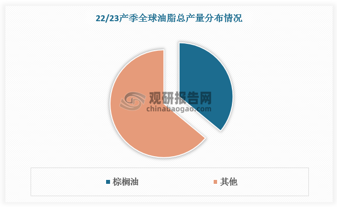 棕榈油是全球生产量最大的油脂，与豆油、菜油并称为世界三大植物油。22/23产季全球油脂总产量为2.19亿吨，棕榈油产量7923万吨，占比约36%。全球棕榈油产量主要由印尼及马来西亚贡献，二者产量占全球产量85%以上。