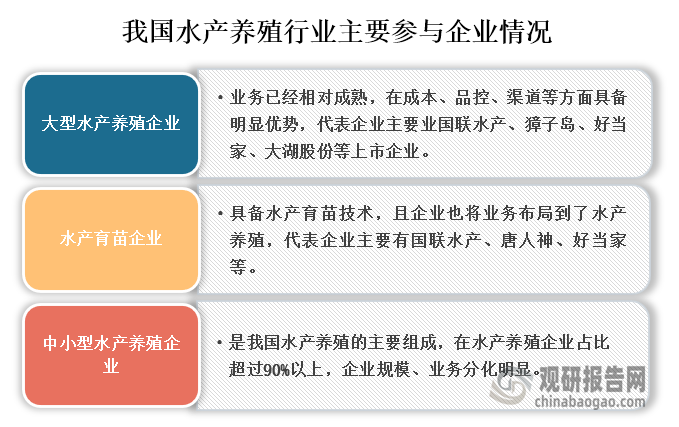 我國水產(chǎn)養(yǎng)殖行業(yè)參與企業(yè)較多，主要參與企業(yè)可分為大型水產(chǎn)養(yǎng)殖企業(yè)、水產(chǎn)育苗企業(yè)和水產(chǎn)育苗企業(yè)三類；其中大型水產(chǎn)養(yǎng)殖企業(yè)業(yè)務(wù)已經(jīng)相對成熟，在成本、品控、渠道等方面具備明顯優(yōu)勢，代表企業(yè)主要業(yè)國聯(lián)水產(chǎn)、獐子島、好當(dāng)家、大湖股份等上市企業(yè)。水產(chǎn)育苗企業(yè)具備水產(chǎn)育苗技術(shù)，且企業(yè)也將業(yè)務(wù)布局到了水產(chǎn)養(yǎng)殖，代表企業(yè)主要有國聯(lián)水產(chǎn)、唐人神、好當(dāng)家等。中小型水產(chǎn)養(yǎng)殖企業(yè)是我國水產(chǎn)養(yǎng)殖的主要組成，在水產(chǎn)養(yǎng)殖企業(yè)占比超過90%以上，企業(yè)規(guī)模、業(yè)務(wù)分化明顯。