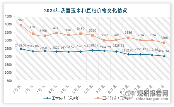 玉米和豆粕是生产猪饲料的主要原材料，构成了猪饲料原料成本的75%以上，它们价格的涨跌直接左右着猪饲料的价格。数据显示，2024年我国玉米和豆粕价格呈现整体下跌走势，2024年12月末分别降至2037.14元/吨和2866元/吨，相较1月初同比分别下跌18.14%和27.66%。