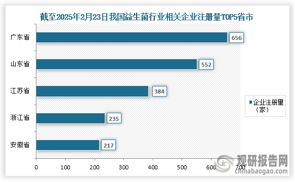 从企业参与情况来看，截至2025年我国益生菌行业相关企业注册量达到了4457家，其中企业注册前五的省市分别为广东省、山东省、江苏省、浙江省、安徽省；企业注册量分别为656家、552家、384家、235家、217家；占比分别为14.72%、12.39%、8.62%、5.27%、4.87%。