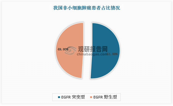 非小细胞肺癌常见驱动基因包括 EGFR、KRAS、c-MET、HER2 基因突变和 ALK/ROS1、RET 基因重排，其中 EGFR占比最高，是发现最早、研究最深入的一个靶点。数据显示，我国非小细胞肺癌患者中 EGFR 突变型占比约 51%，EGFR 野生型占比约 49%。