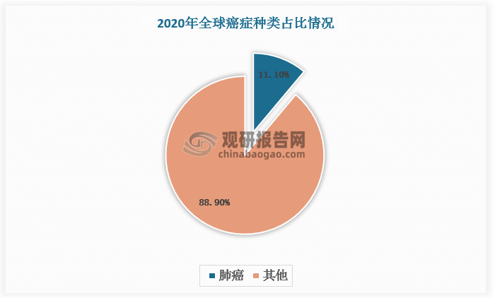 肺癌是仅次于乳腺癌的第二大常见癌症，其中非小细胞肺癌是最常见的肺癌类型。2020 年，全球肺癌占全部癌症种类的 11.1%，其中非小细胞肺癌发病数量约占肺癌总数的 85%左右。