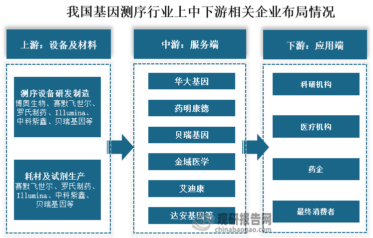 从基因测序产业链布局情况来看，我国基因测序上游测序设备研发制造参与企业主要博奥生物、赛默飞世尔、罗氏制药、Illumina、中科紫鑫、贝瑞基因等；耗材及试剂生产参与企业有赛默飞世尔、罗氏制药、Illumina、中科紫鑫、贝瑞基因等，其中有多个企业在设备和材料均有布局。中游基因测序服务参与的企业有华大基因、药明康德、贝瑞基因、金域医学、艾迪康和达安基因等。下游为科研机构、医疗机构、药企和测序相关应用或服务的终端消费者。