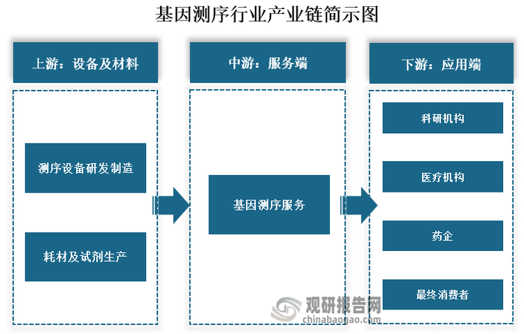 从产业链来看，基因测序上游为设备及材料，主要为测序设备研发制造和耗材及试剂生产；中游为基因测序服务商；下游为科研机构、医疗机构、药企和测序相关应用或服务的终端消费者。