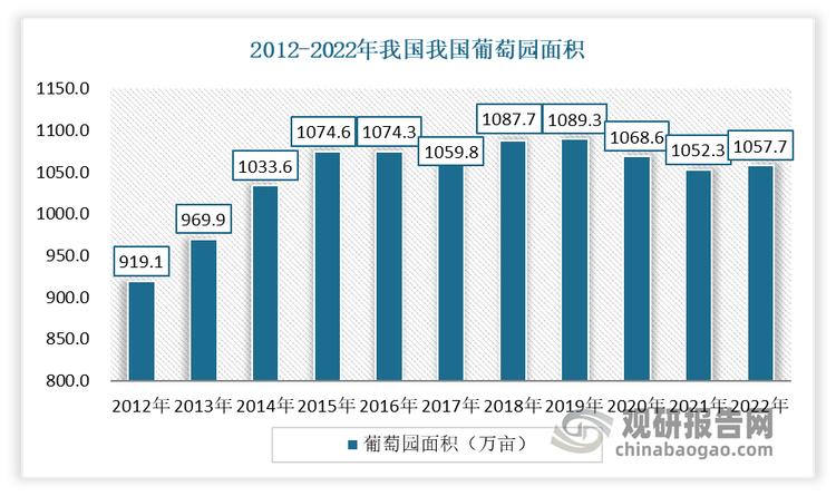 近10年来，我国葡萄园面积基本稳定，常年保持在1050万亩以上。2020-2022年，受疫情和经济大环境的影响，人们对鲜食葡萄和葡萄加工品的消费减少，叠加大部分葡萄价格下跌等综合因素影响，从业者种植、管理积极性下降，葡萄园面积小幅波动减少。数据显示，2022年，我国葡萄园面积为1057.7万亩，位列全球第4位。