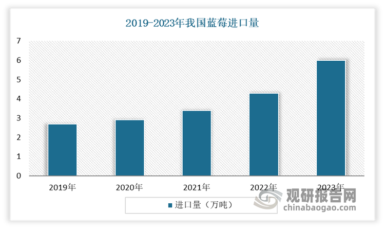 虽然近年国内蓝莓销量保持30%~40%的增速，但相比发达国家，国内蓝莓的人均消费量还有很大的距离。例如2022年美国蓝莓人均消费量为2.63公斤，而我国仅为0.26公斤。此外，我国蓝莓进口量在2023年达到了近6万吨，但仍难以满足市场迅速增长的消费需求，特别是冬季蓝莓的供不应求状况持续加剧。而一般来说，大多数人都适合食用蓝莓。尤其是儿童，蓝莓中的营养成分有助于大脑发育和视力保护；中老年人食用蓝莓，能在一定程度上预防心血管疾病和认知功能衰退；经常用眼的上班族多吃蓝莓可以缓解眼睛疲劳、干涩。可见目前，我国蓝莓市场仍有很大的消费潜力与增长空间，特别是三四线城市还有足够大的下沉市场有待开发。