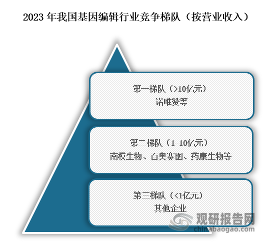 从行业竞争梯队来看，位于行业竞争第一梯队的企业为诺唯赞，营业收入在10亿元以上；位于行业第二梯队的企业为南模生物、百奥赛图、药康生物等，营业收入在1亿元到10亿元之间；位于行业第三梯队的企业为其它企业，营业收入在1亿元以下。