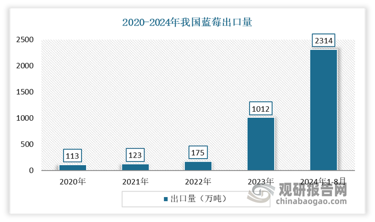 随着国产蓝莓的不断发展，国产蓝莓也开启“出海”模式。自2020年首次出口俄罗斯以来，我国蓝莓鲜果的出口市场不断扩大，出口量迎来爆发增长。有相关数据显示，2023年国产蓝莓出口量达到1012吨，较2020 年增长近10倍，出口金额达到889万美元。出口主要国家也从俄罗斯转向中国香港和东南亚市场，出口国家和地区达到9个。2024年蓝莓出口持续高速增长，仅1-8月出口量就达到2314吨，出口金额2198万美元。出口量超过2023全年2倍，达到2020年的20倍。出口国家和地区超过13个，其中中国香港647吨，新加坡579吨，马来西亚368吨，泰国219吨，印尼143吨。