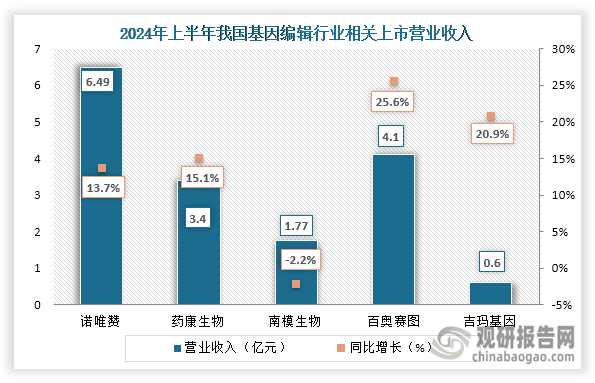 从营业收入来看，在2024年上半年营业收入最高的为诺唯赞，营业收入为6.49亿元，同比增长13.7%；其次为百奥赛图，营业收入为4.1亿元，同比增长25.6%；第三是为药康生物，营业收入为3.4亿元，同比增长15.1%。