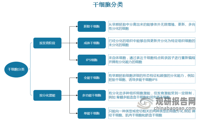 间充质干细胞是我国目前干细胞临床研究中最多的一种，根据博雅干细胞的数据，截止 2023 年 12 月 4 号，我国共有 127 个干细胞研究备案项目，其中 93个项目是间充质干细胞。