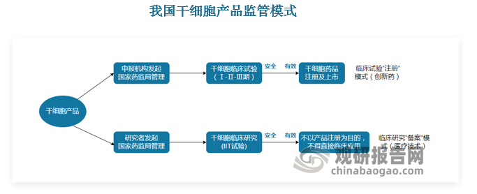 我国目前干细胞疗法有两种监管方式：第一种是作为药品监管，需要制药企业申办药物临床试验获批后可作为药品销售；第二种是作为医疗服务监管，是医院作为研究主体发起研究者临床，并且按照最新的国家文件该类医疗服务不允许收费。从最初的作为医疗服务监管形成巨大市场规模，到全面叫停干细胞治疗，再到近两年发布大量技术指南以药品形式监管为主，我国干细胞新药研发加速前进。