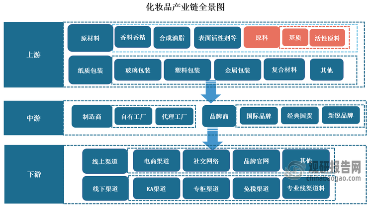 在產(chǎn)業(yè)鏈方面，化妝品行業(yè)上游主要為化工企業(yè)等原材料提供商、包裝設(shè)計與生產(chǎn)企業(yè)，下游為品牌商與渠道商。在化妝品產(chǎn)業(yè)鏈上游：原材料供應(yīng)商和包材供應(yīng)商化妝品原材料供應(yīng)商多為化工企業(yè)，提供化妝品生產(chǎn)所需的有效成分、表面活性劑、香料香精等基礎(chǔ)原料；中游：根據(jù)化妝品生產(chǎn)模式不同，化妝品制造商可分為專業(yè)的OEM/ODM代工廠商和品牌自主生產(chǎn)商；下游：品牌商及渠道商化妝品行業(yè)內(nèi)品牌端參與者眾多，市場發(fā)展相對成熟，由于品牌商掌握化妝品的定價權(quán)，盈利水平在產(chǎn)業(yè)鏈中最高，化妝品的銷售渠道包括電商、百貨、商超、化妝品專營店等。