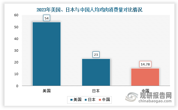 不過(guò)，與美國(guó)和日本等發(fā)達(dá)國(guó)家相比，我國(guó)人均雞肉消費(fèi)量仍然偏低，未來(lái)肉雞養(yǎng)殖行業(yè)仍有較大增長(zhǎng)空間。數(shù)據(jù)顯示，2023年我國(guó)雞肉人均消費(fèi)量與美國(guó)54千克/人的水平仍存在較大差距，也低于與我國(guó)飲食習(xí)慣相對(duì)接近的日本（23千克/人）。未來(lái)，隨著人們生活水平提高和國(guó)內(nèi)消費(fèi)者對(duì)肉類產(chǎn)品的要求逐漸向高蛋白、低脂肪的方向轉(zhuǎn)變，人均雞肉消費(fèi)量預(yù)計(jì)將進(jìn)一步增加，進(jìn)而帶動(dòng)肉雞養(yǎng)殖規(guī)模進(jìn)一步擴(kuò)大。