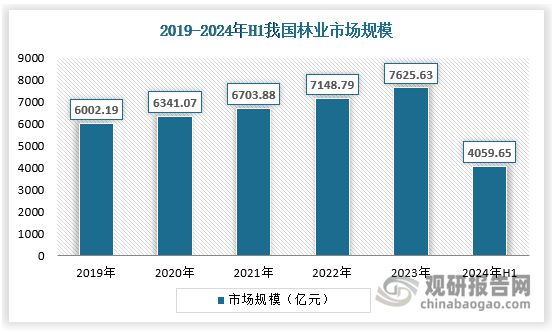 2024年上半年，我國林業(yè)市場規(guī)模約為4059.65億元，保持持續(xù)的增長態(tài)勢。